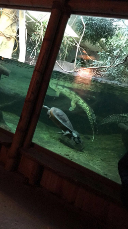 zoo_4