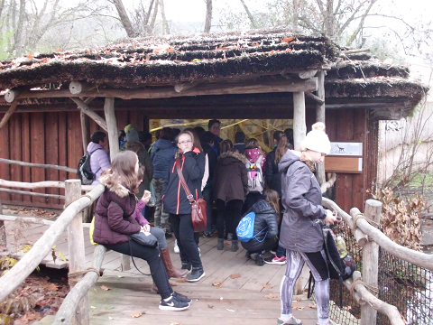 zoo_12