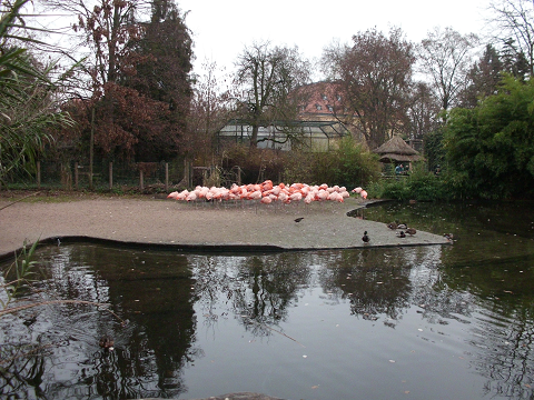 zoo_14