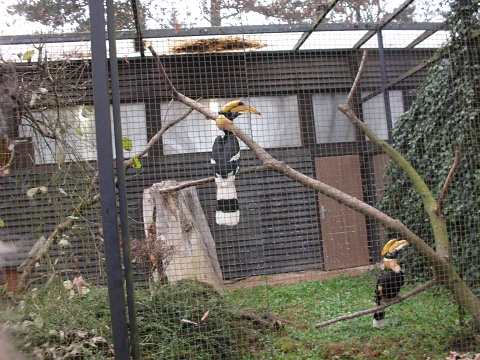 zoo_15