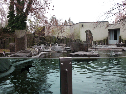 zoo_16
