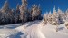image-0-02-05-034dae0dc1de9535412231f8f1fb376481a077f23c75b6fe2aa84458aaac49a9-V